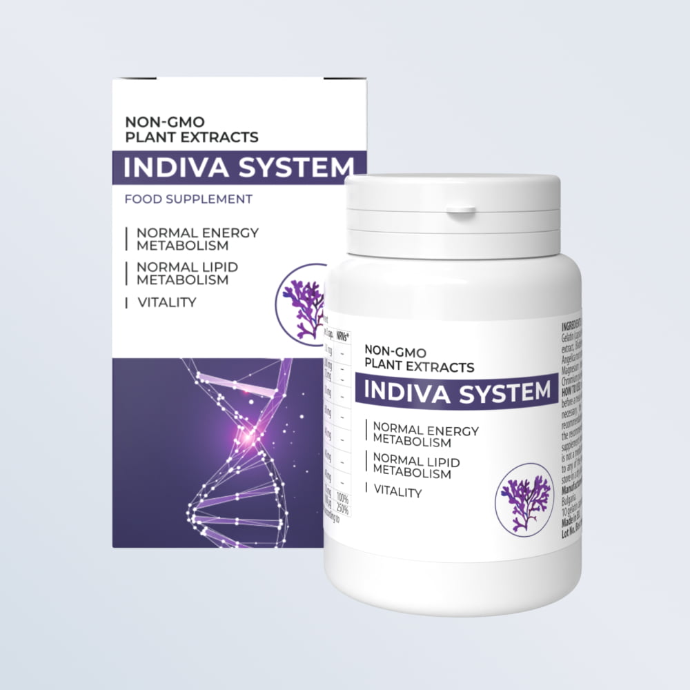 Indiva System Chile